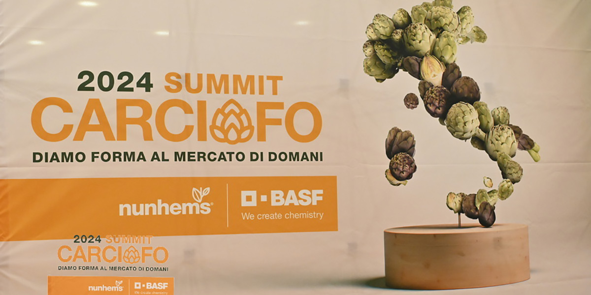 Summit Carciofo, grande interesse per l’evento di BASF Nunhems